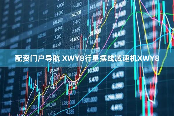 配资门户导航 XWY8行星摆线减速机XWY8